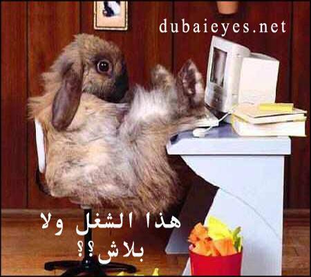 wa hada howa chghel